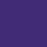 PurpleHome Cheer Mats - Custom Cut