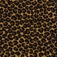 Keep The PaceShaw Cheetah Carpet
