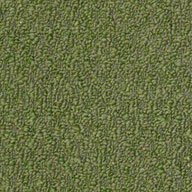 Holly LeafShaw Gardenscape Outdoor Carpet