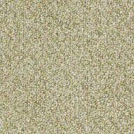 SeedlingShaw Natural Path Outdoor Carpet