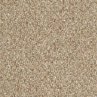 Tree HouseShaw Natural Path Outdoor Carpet