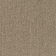 TaupeSpyglass Carpet Tile