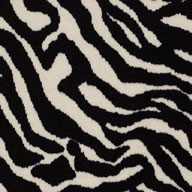 Migrant Beauty Shaw Zebra Carpet