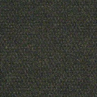 Crushed OliveShaw Succession II Outdoor Carpet