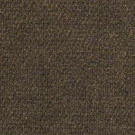 French Roast Shaw Succession II Outdoor Carpet