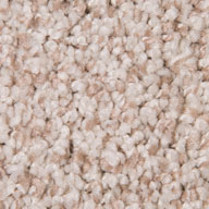 TumbleweedAir.o Fresh Start I Carpet with Pad