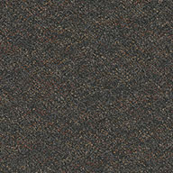Debut Pentz Premiere Carpet Tiles