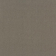 Portabella Shaw Color Accents Carpet Tile