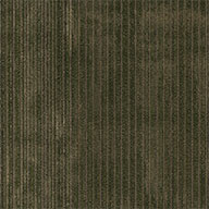 Code Shaw Wildstyle Carpet Tile