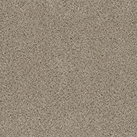 OxfordEasy Street Carpet Tile with Pad