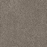 GemstoneWalk in the Park Carpet Tile with Pad