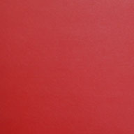 Red 2' x 7' Wall Pads