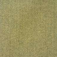 Chestnut Spyglass Carpet Tile