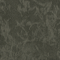Composition Shaw Esthetic Carpet Tile