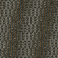 BanditPentz Rogue Carpet