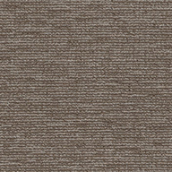 Sustainable Shaw Engrain Carpet