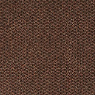 Dark Earth Shaw Succession II Walk-Off Carpet Tile