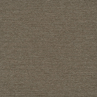 Granola Pentz Colorpoint Carpet Planks