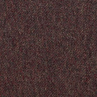 Court HouseShaw Capital III Carpet Tile