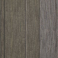Press ConferenceShaw Unscripted Carpet Tile